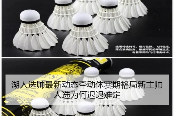 湖人选帅最新动态牵动休赛期格局新主帅人选为何迟迟难定